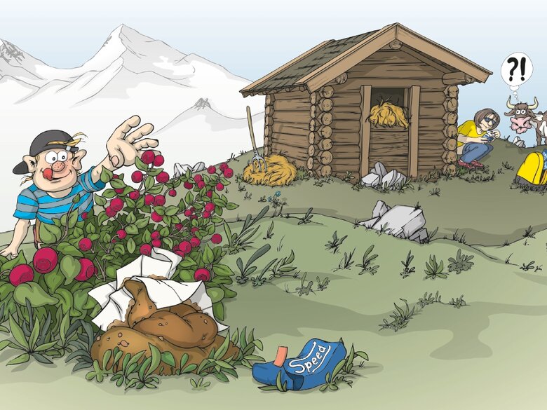 Comic von Georg Sojer. Ein Junge pflückt genüsslich Preiselbeeren auf einer Alm. Was er nicht sieht ist, dass auf der anderen Seite der Preselbeerpflanze ein großer Haufen menschlichen Kots ist, vermengt mit einem Taschentuch. Daneben liegt eine Taschentuchverpackung die an den Marktführer erinnert. Im Hintergrund sieht man einen Heustadel und daneben eine Person welche gerade ihre Notdurft verrichtet. Eine Kuh beobachtet die Person dabei erstaunt.