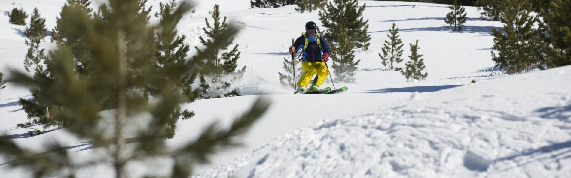 Skifahrer beim Freeriden
