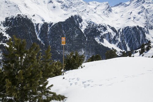 Schutzwald mit Hinweisschild plus Umleitung