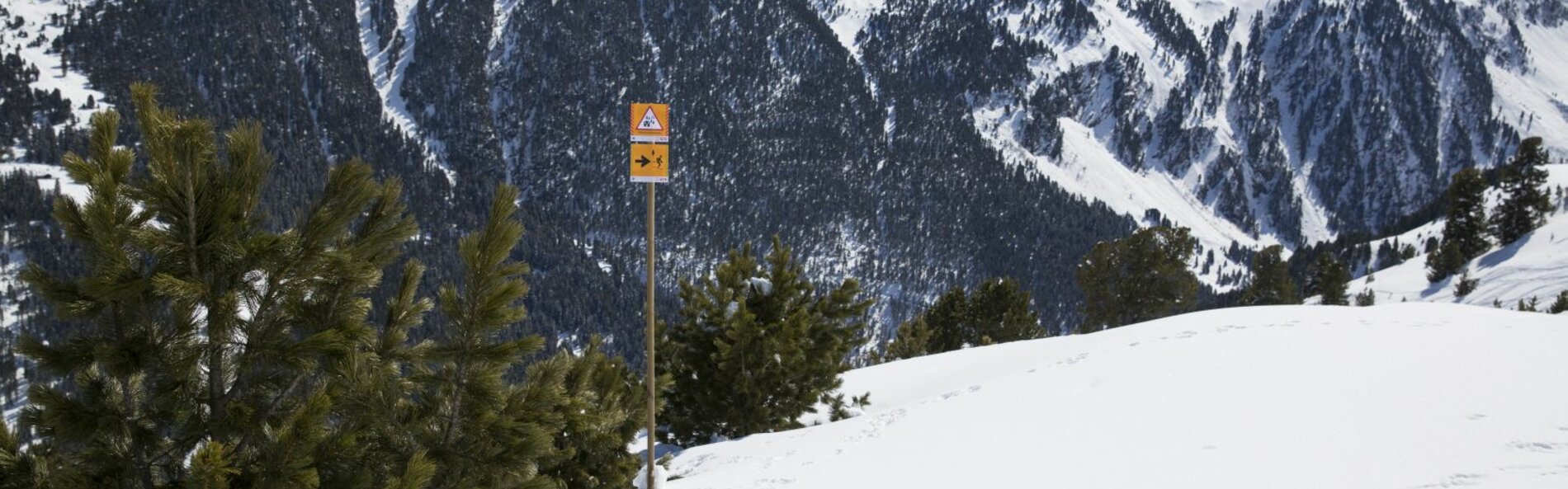 Schutzwald mit Hinweisschild plus Umleitung
