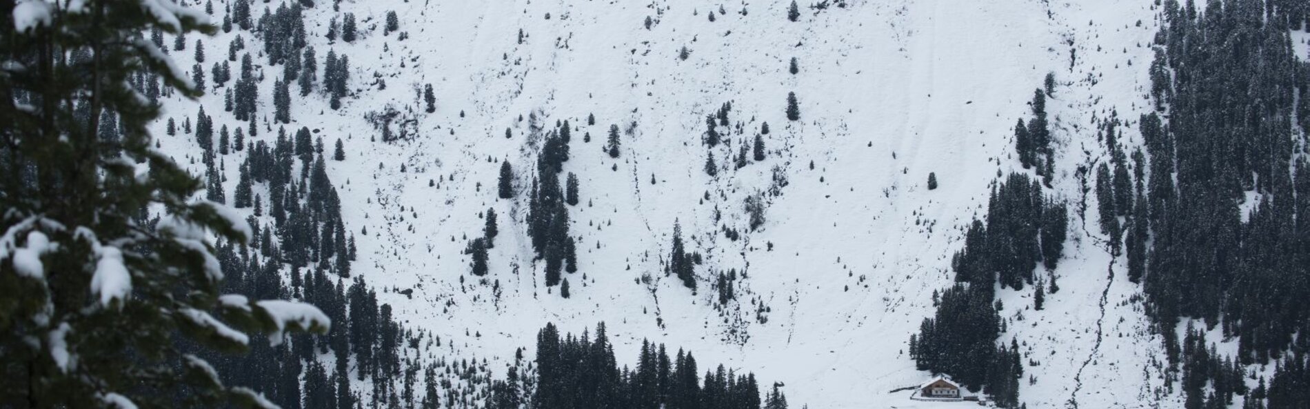 Verschneiter Hang mit Schutzwald
