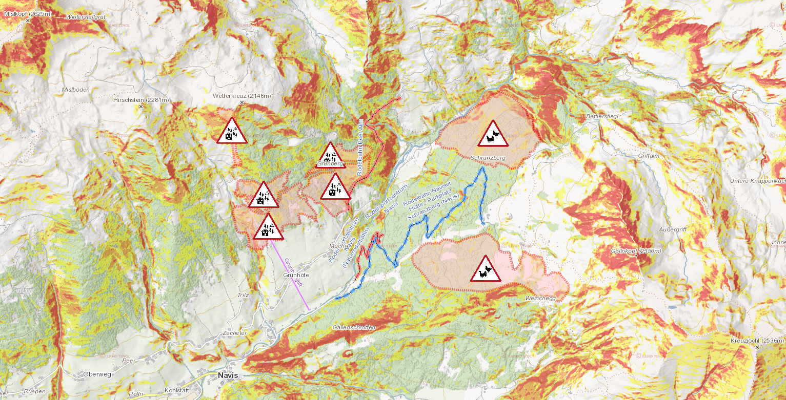 Ausschnitt aus tirisMaps mit Schutzzonen im Projektgebiet Navis © Land Tirol