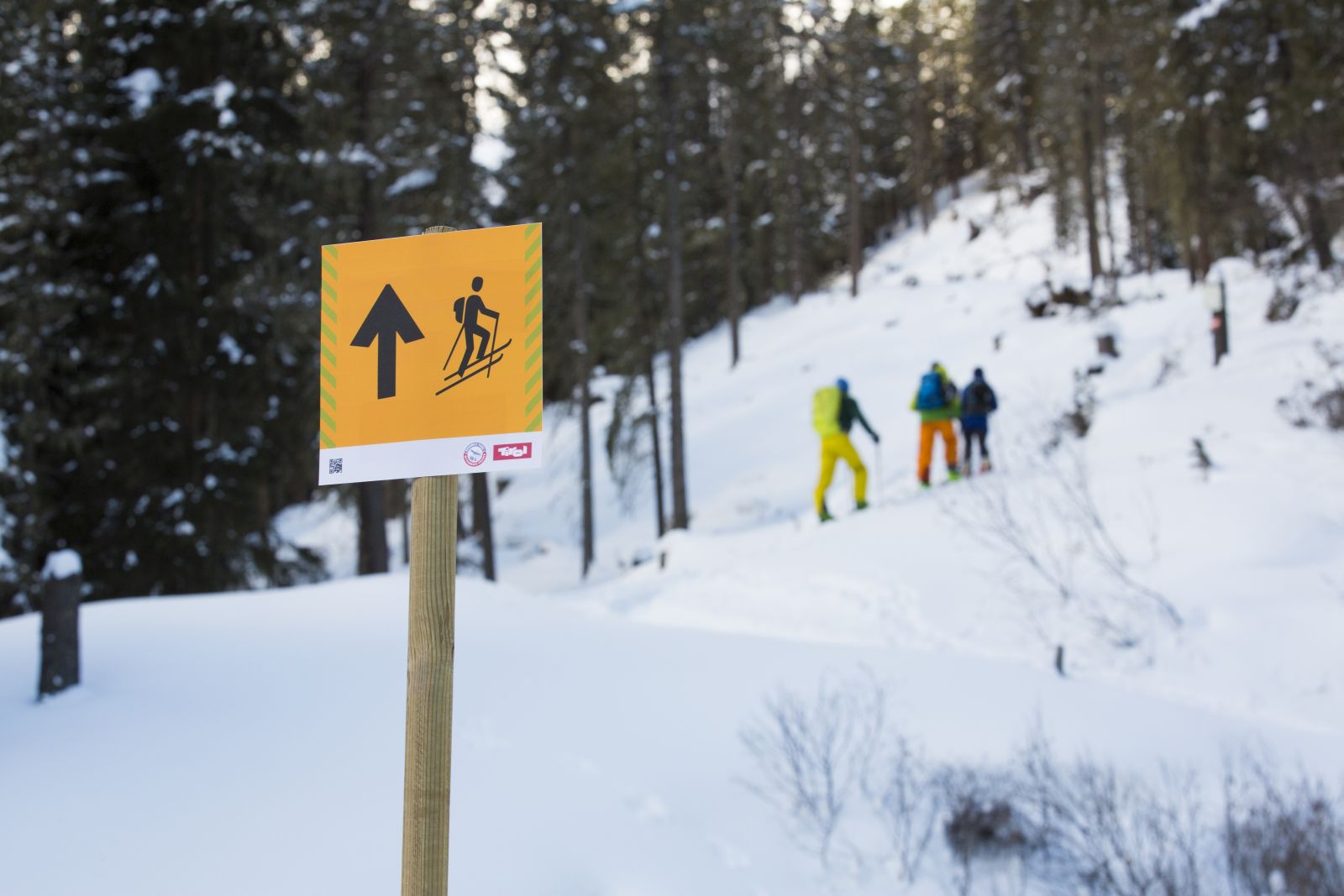 Skitourengeher umgehen die Schutzzone