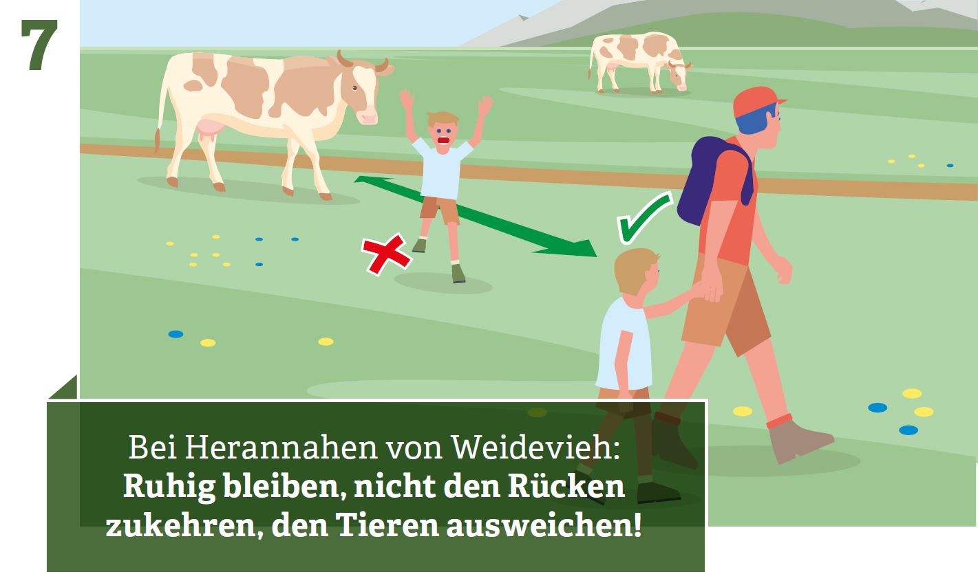When approaching grazing animals: Stay calm, do not turn your back, avoid the animals!