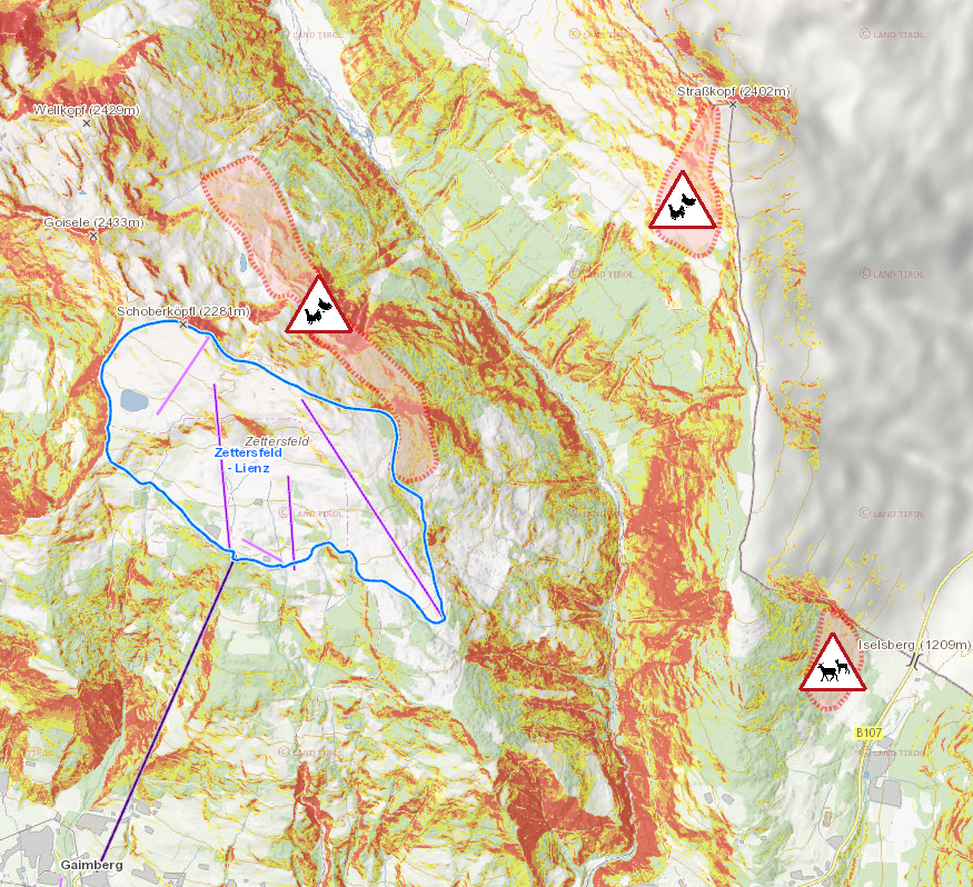 Kartenausschnitt Wildschutzzonen Debanttal