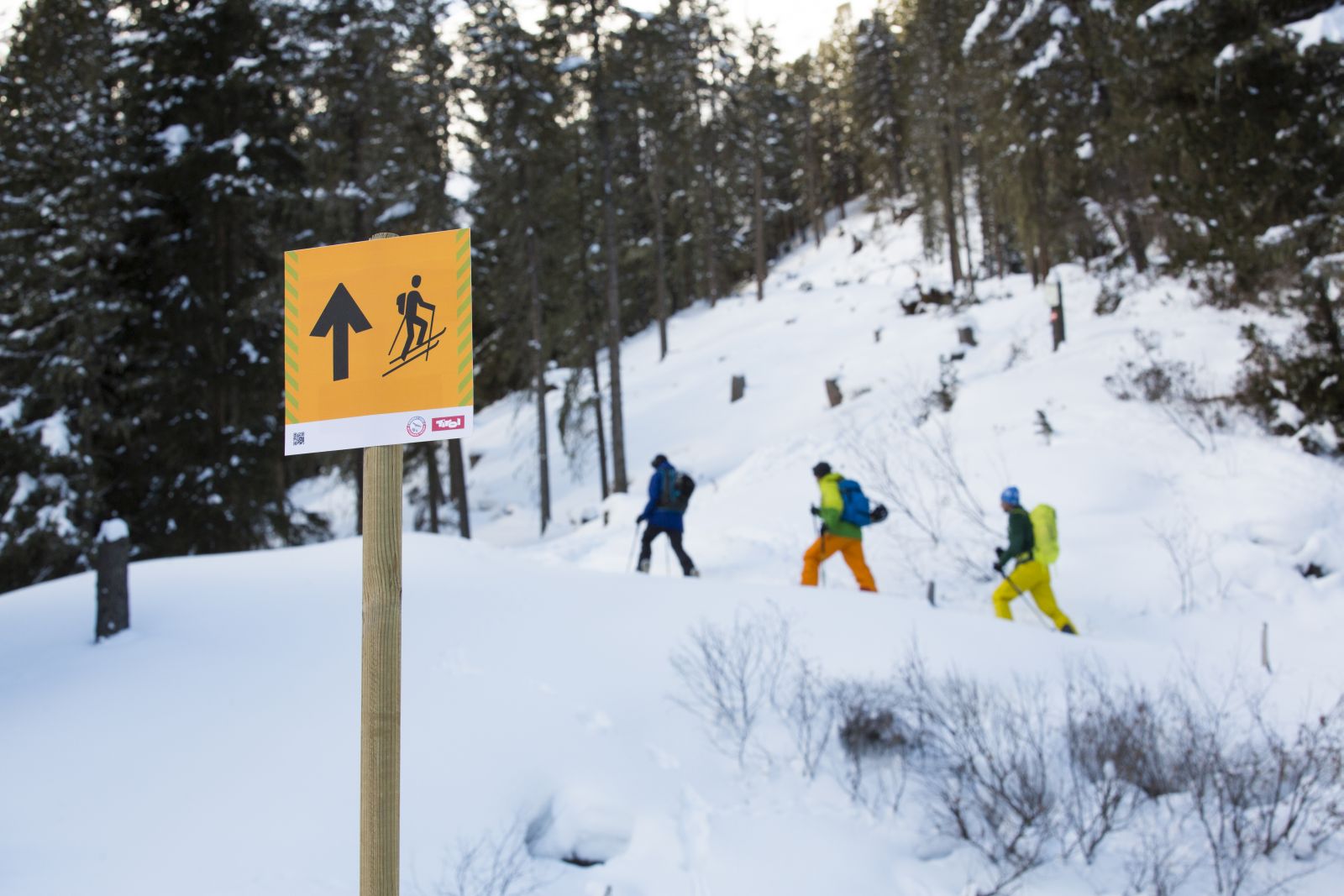 Skitourenschneise beschildert